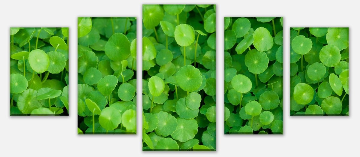 Leinwandbild Mehrteiler Grünpflanzen Hintergrund M1046 entdecken - Bild 1 Leinwandbild Mehrteiler Grünpflanzen Hintergrund M1046 entdecken - Bild 1