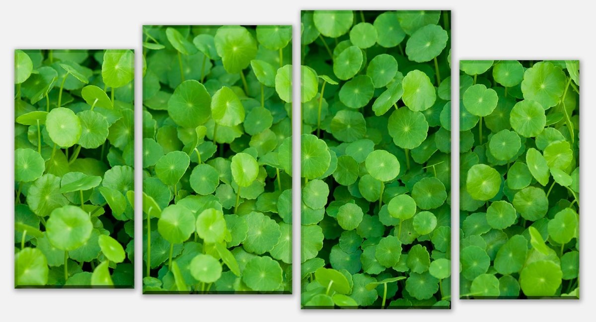 Leinwandbild Mehrteiler Grünpflanzen Hintergrund M1046 Leinwandbild Mehrteiler Grünpflanzen Hintergrund M1046