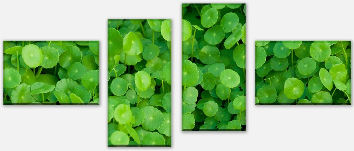 Leinwandbild Mehrteiler Grünpflanzen Hintergrund M1046 Leinwandbild Mehrteiler Grünpflanzen Hintergrund M1046