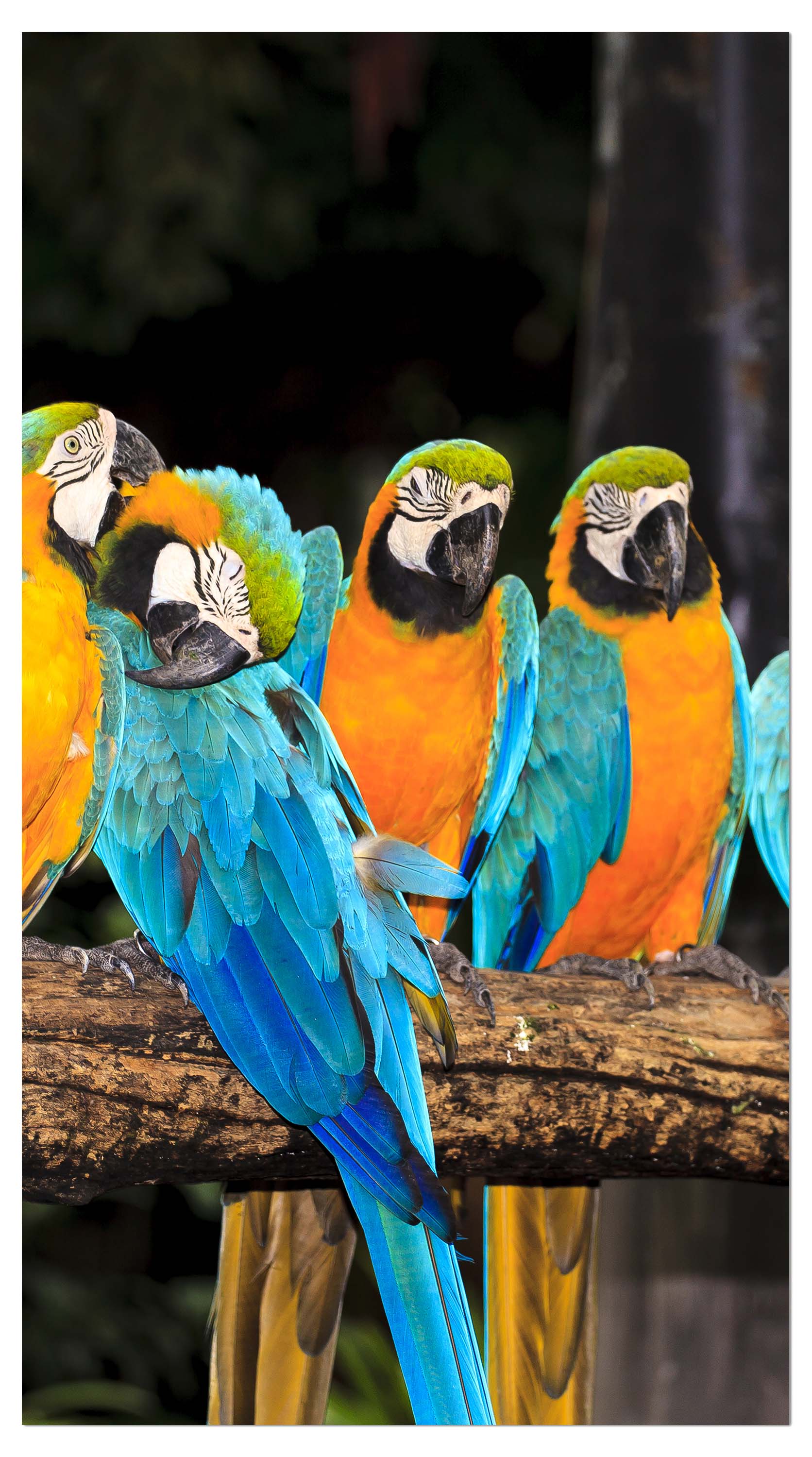 Garderobe Aras M1047 entdecken - Bild 4 Garderobe Aras M1047 entdecken - Bild 4