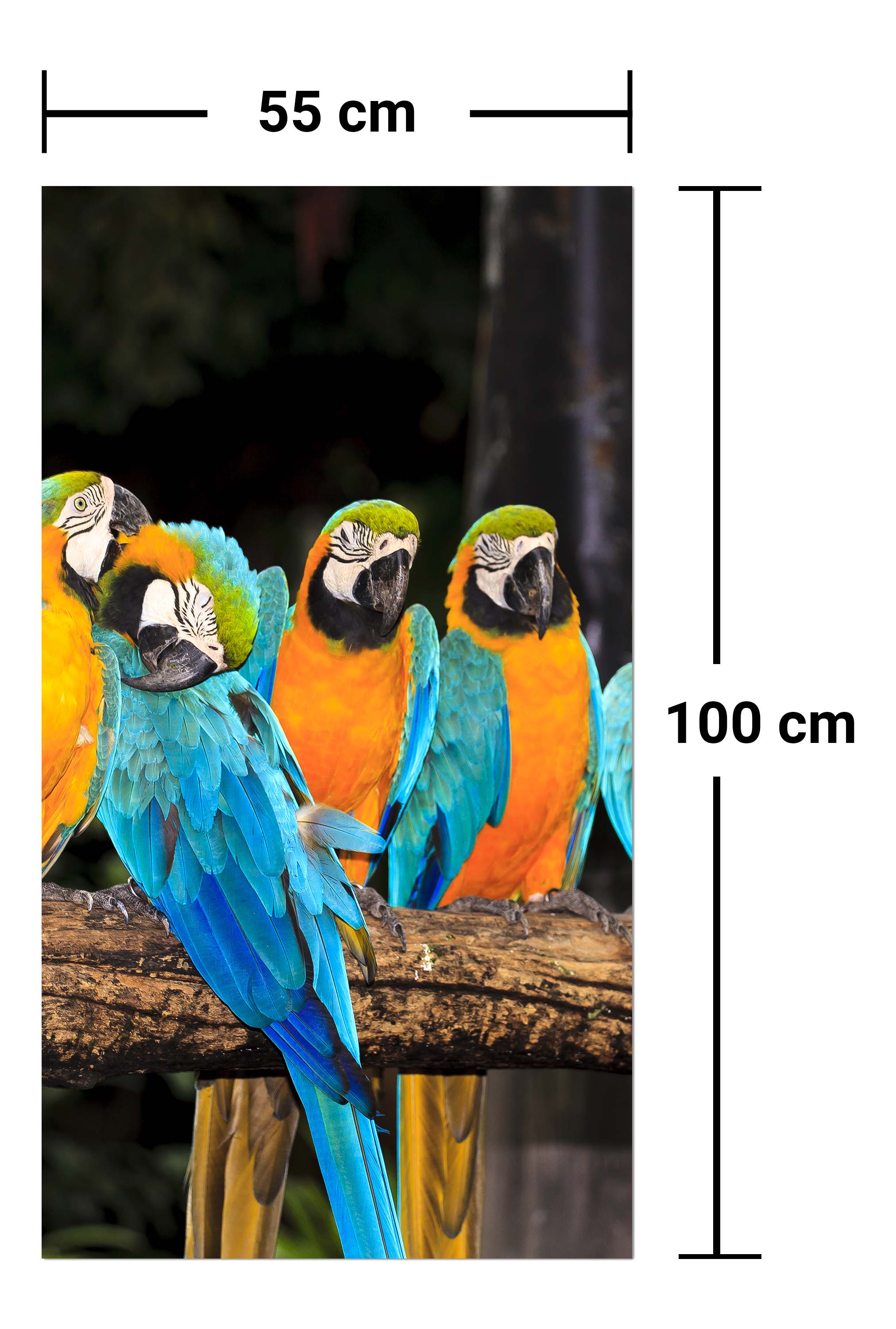 Garderobe Aras M1047 entdecken - Bild 7 Garderobe Aras M1047 entdecken - Bild 7