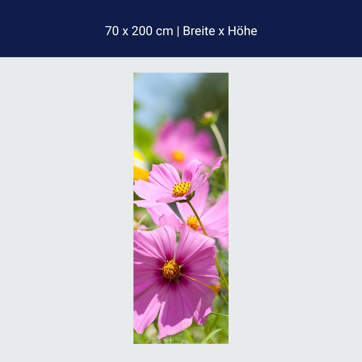 Duschwand Schöne Frühlingsblumen M1048 Duschwand Schöne Frühlingsblumen M1048