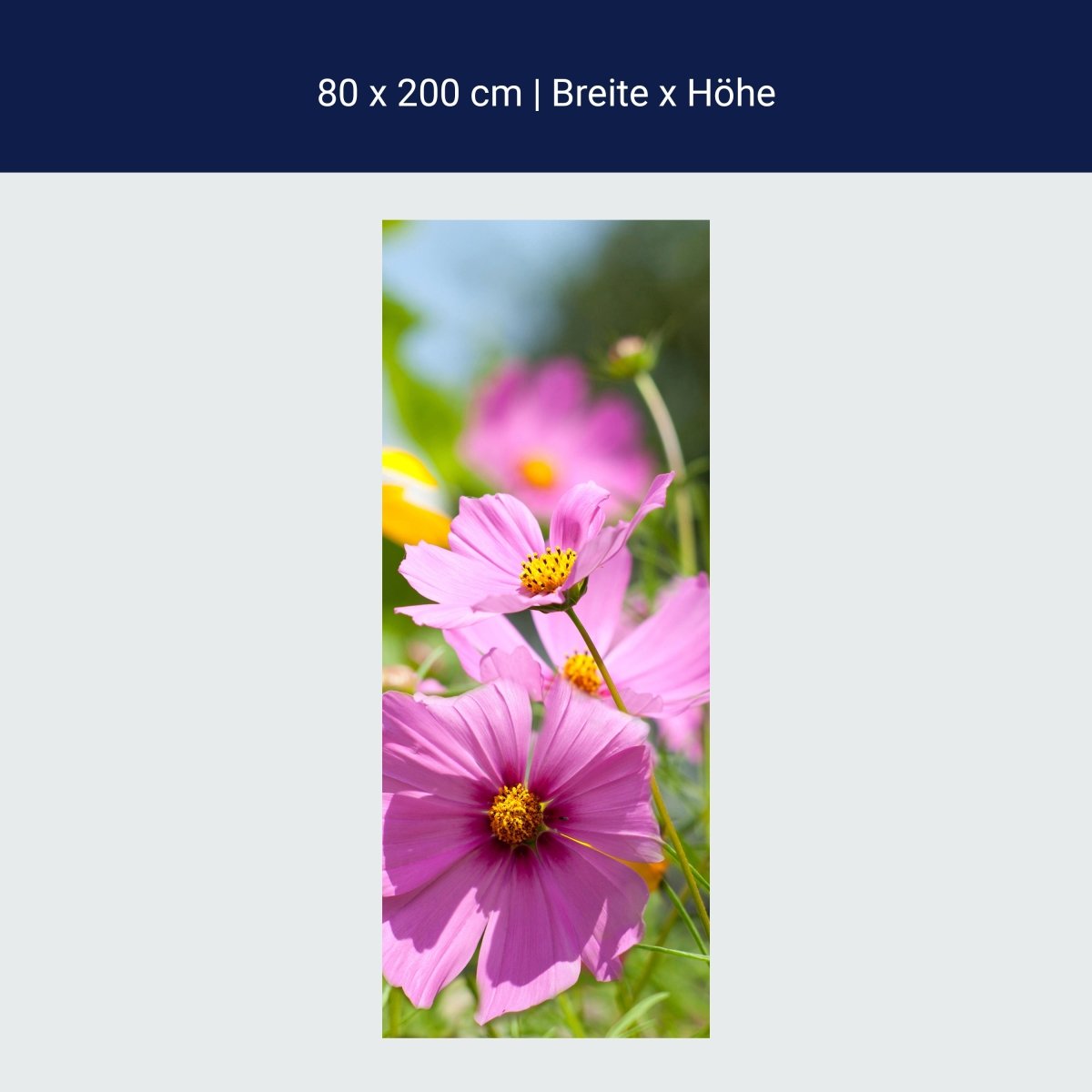 Duschwand Schöne Frühlingsblumen M1048 Duschwand Schöne Frühlingsblumen M1048