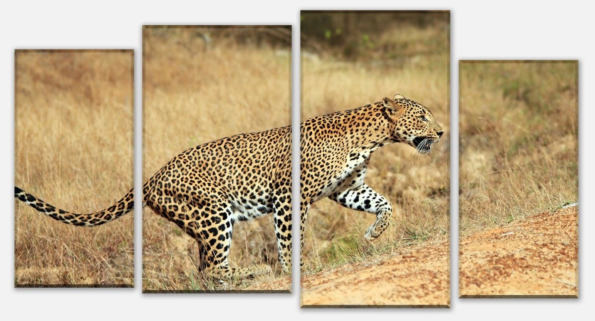 Leinwandbild Mehrteiler Sri-Lankischer Leopard M1058 Leinwandbild Mehrteiler Sri-Lankischer Leopard M1058