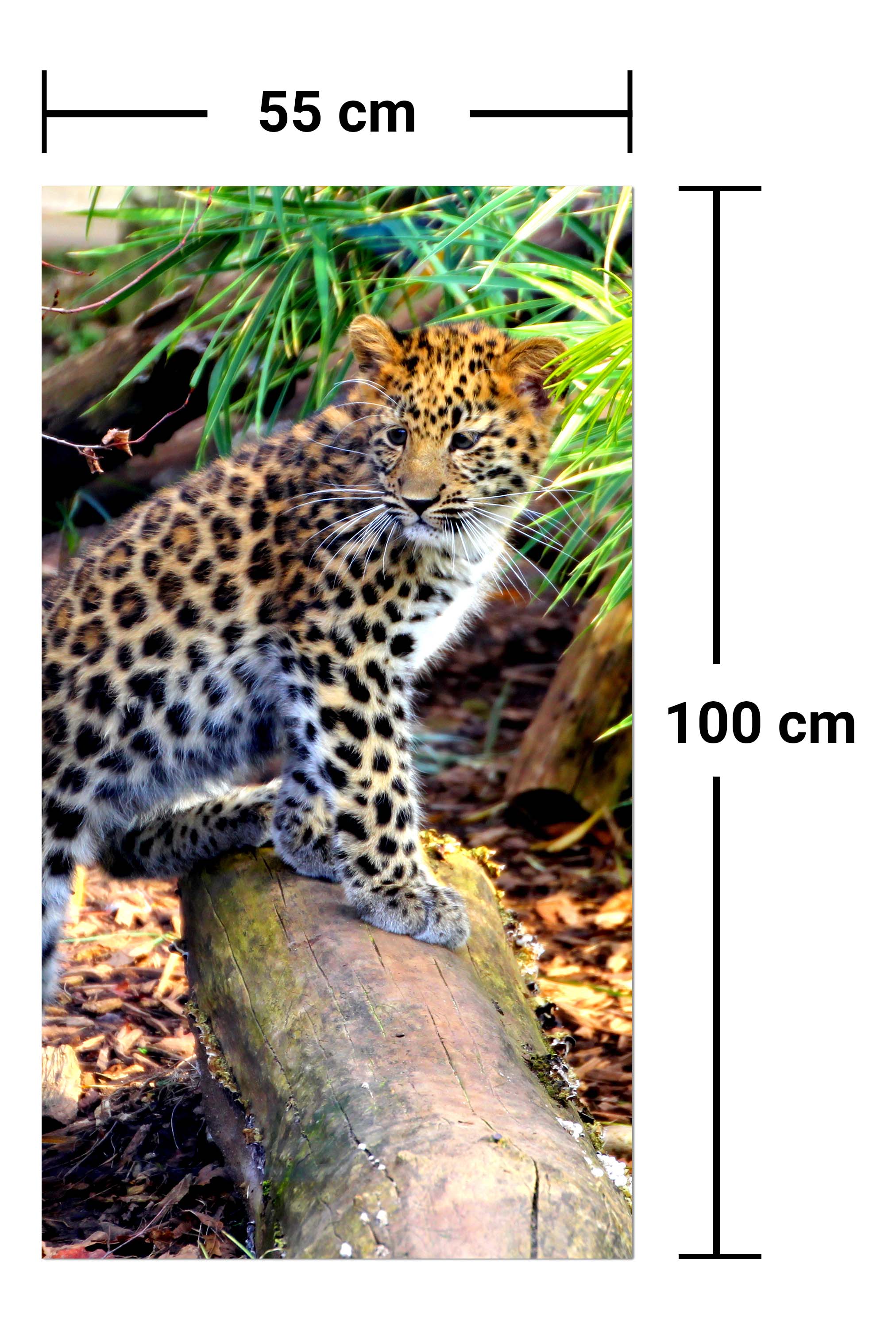 Garderobe Kleiner Leopard M1060 entdecken - Bild 7 Garderobe Kleiner Leopard M1060 entdecken - Bild 7