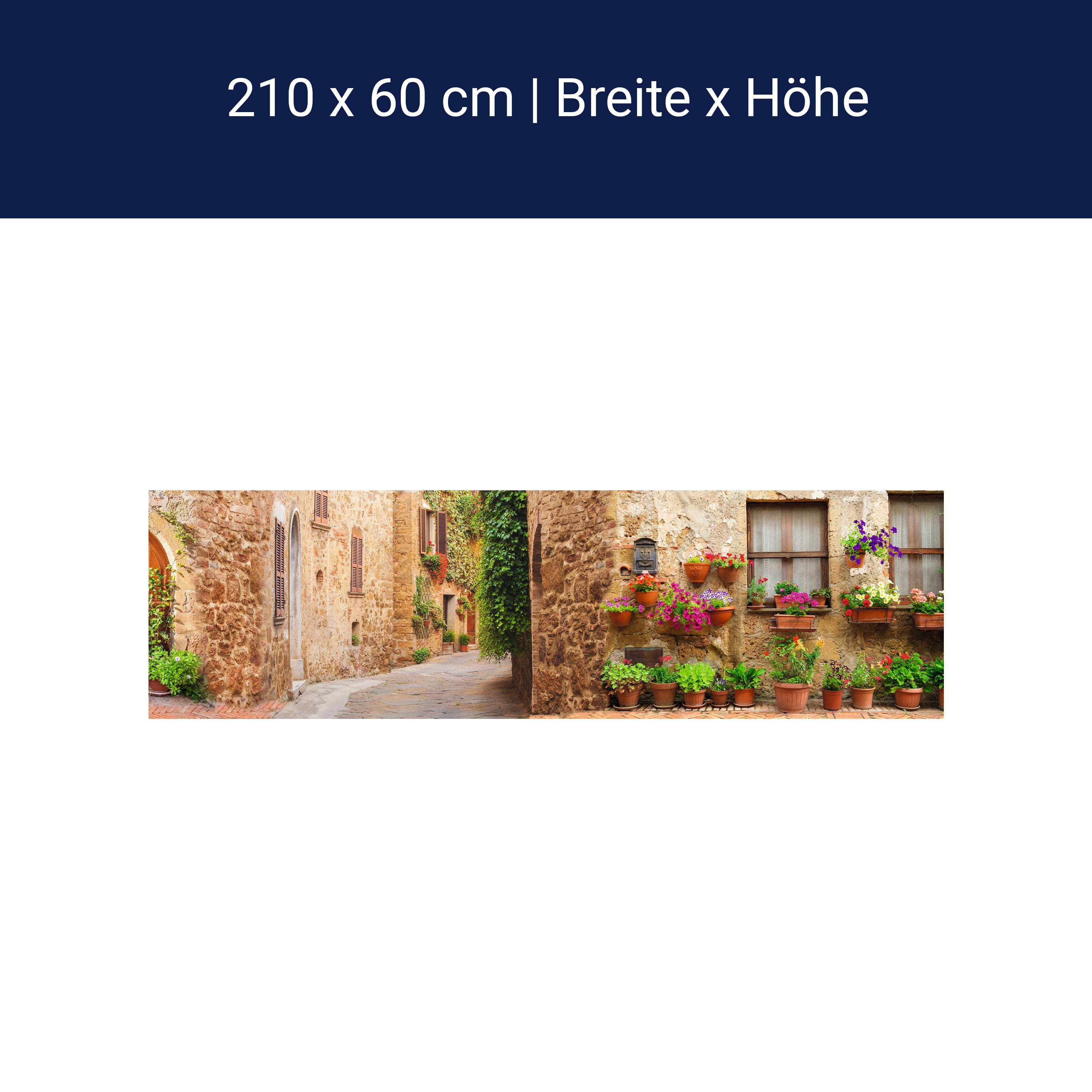 Küchenrückwand Straße Dorf Töpfe Pflanzen Blumen M1074 Küchenrückwand Straße Dorf Töpfe Pflanzen Blumen M1074