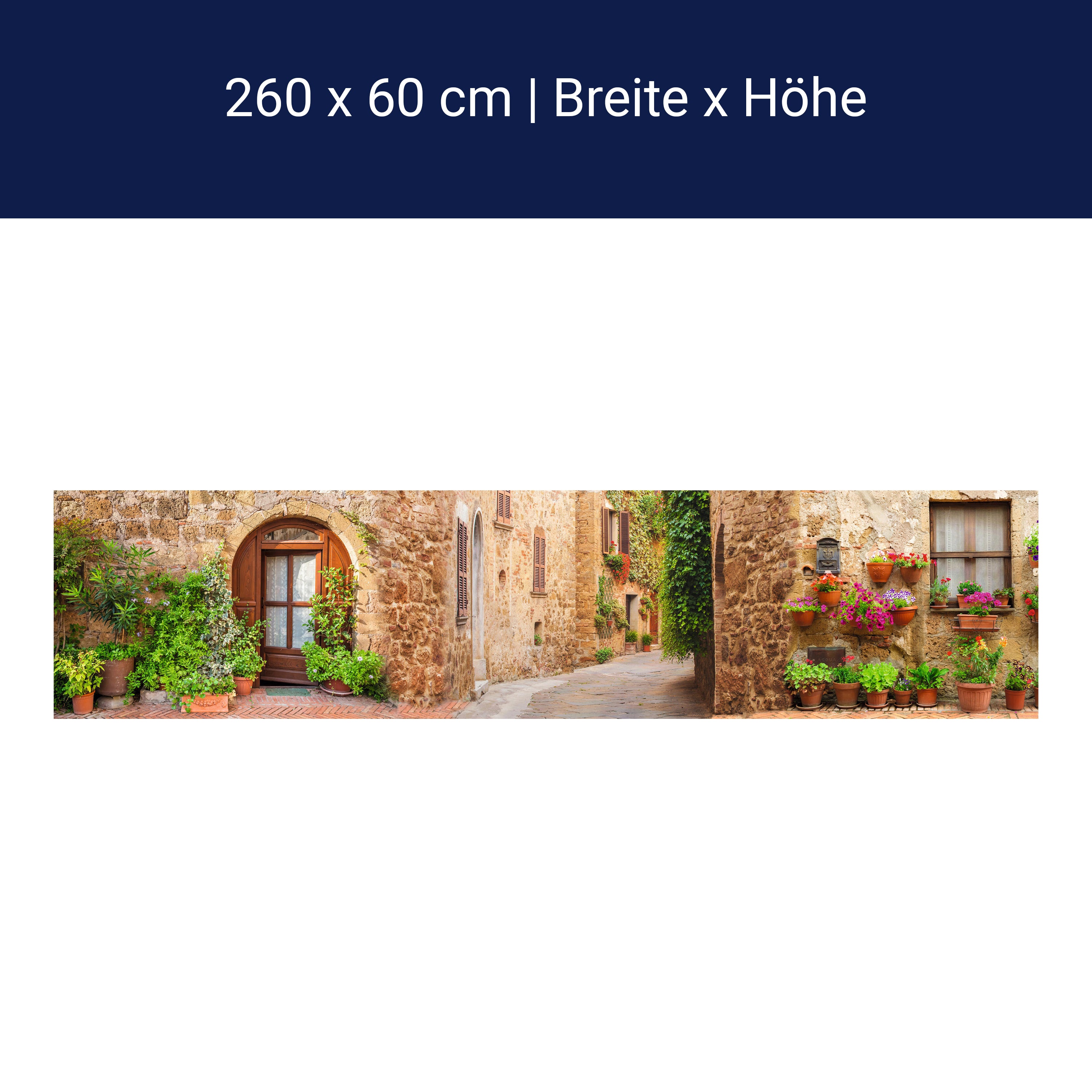 Küchenrückwand Straße Dorf Töpfe Pflanzen Blumen M1074 Küchenrückwand Straße Dorf Töpfe Pflanzen Blumen M1074