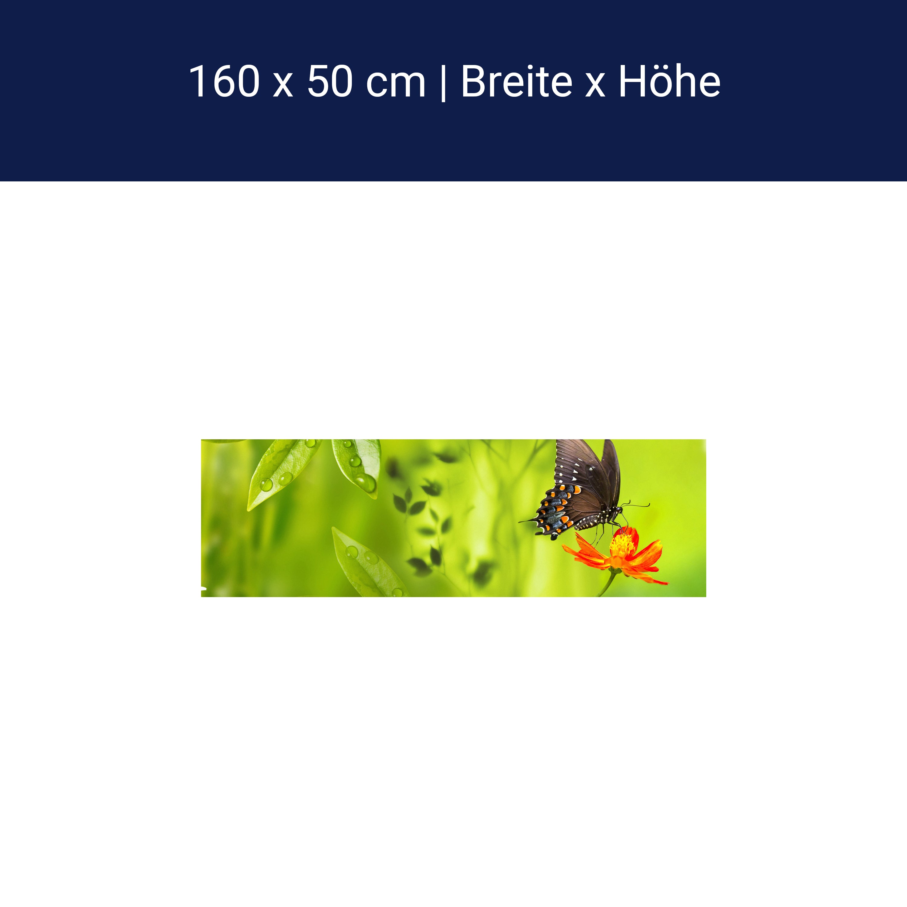 Küchenrückwand Schmetterling Marienkäfer Grün Gänseblüm M1080 Küchenrückwand Schmetterling Marienkäfer Grün Gänseblüm M1080