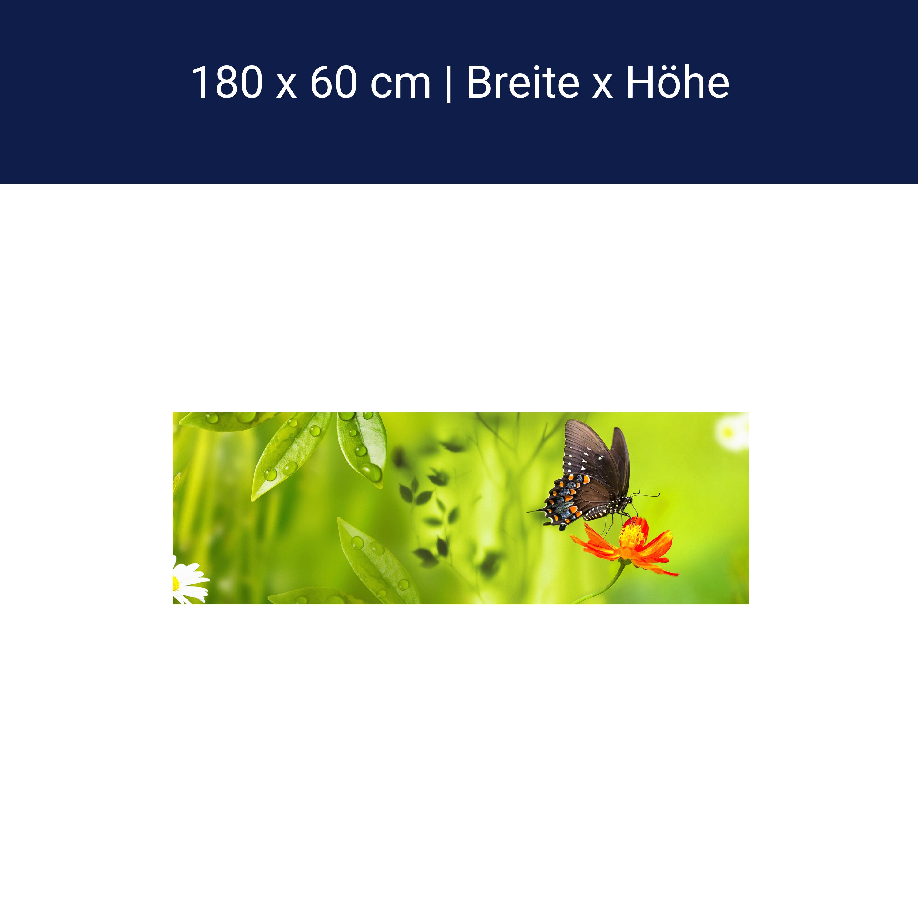Küchenrückwand Schmetterling Marienkäfer Grün Gänseblüm M1080 Küchenrückwand Schmetterling Marienkäfer Grün Gänseblüm M1080