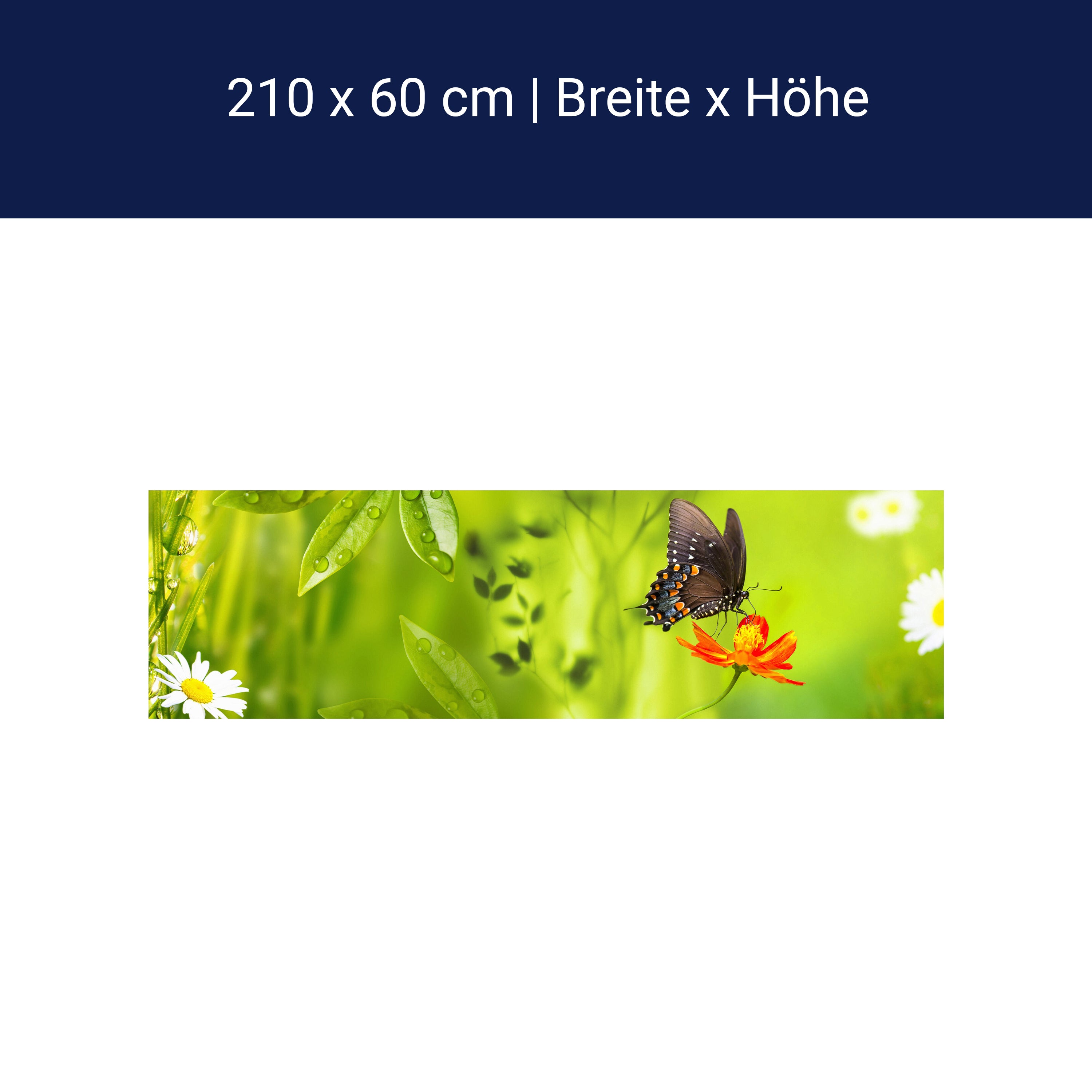 Küchenrückwand Schmetterling Marienkäfer Grün Gänseblüm M1080 Küchenrückwand Schmetterling Marienkäfer Grün Gänseblüm M1080