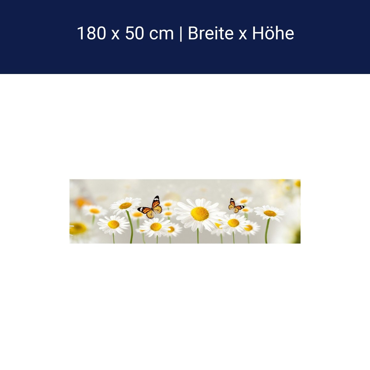 Küchenrückwand Gänseblümchen Schmetterlinge M1095 Küchenrückwand Gänseblümchen Schmetterlinge M1095