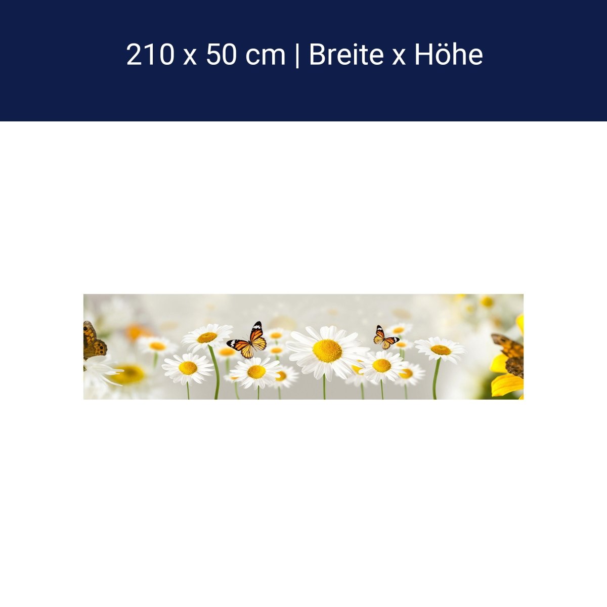 Küchenrückwand Gänseblümchen Schmetterlinge M1095 Küchenrückwand Gänseblümchen Schmetterlinge M1095