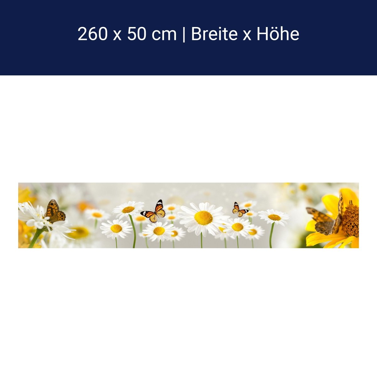 Küchenrückwand Gänseblümchen Schmetterlinge M1095 Küchenrückwand Gänseblümchen Schmetterlinge M1095