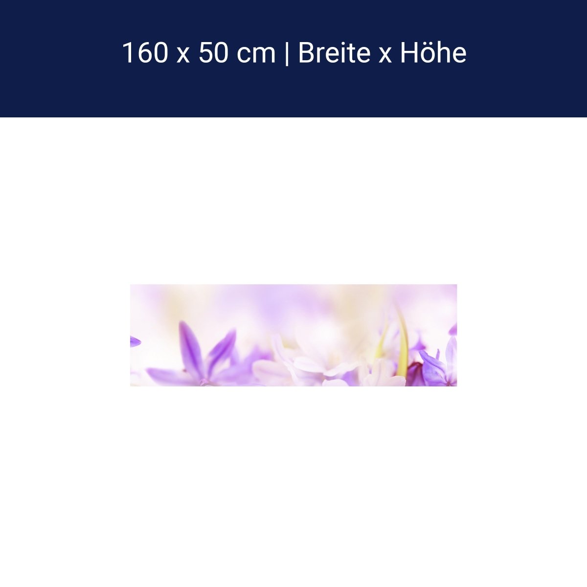 Küchenrückwand Lila Natur Blume Lilie Fokus Weichzeichn M1135 Küchenrückwand Lila Natur Blume Lilie Fokus Weichzeichn M1135