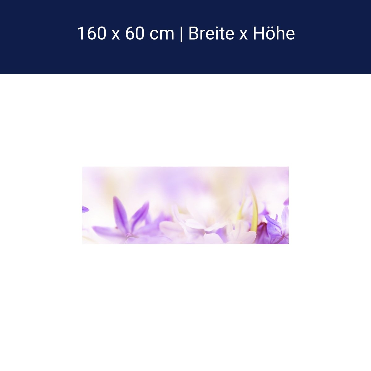 Küchenrückwand Lila Natur Blume Lilie Fokus Weichzeichn M1135 Küchenrückwand Lila Natur Blume Lilie Fokus Weichzeichn M1135