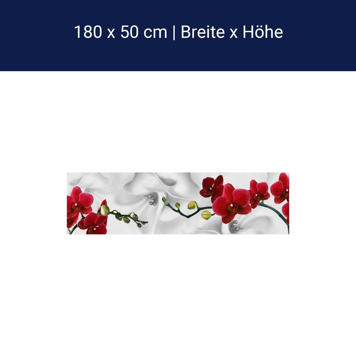 Küchenrückwand Orchideen Rot Weiß Pflanze Hintergrund M1148 Küchenrückwand Orchideen Rot Weiß Pflanze Hintergrund M1148
