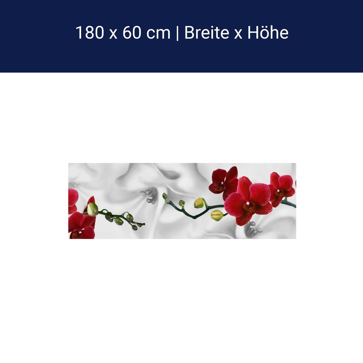 Küchenrückwand Orchideen Rot Weiß Pflanze Hintergrund M1148 Küchenrückwand Orchideen Rot Weiß Pflanze Hintergrund M1148
