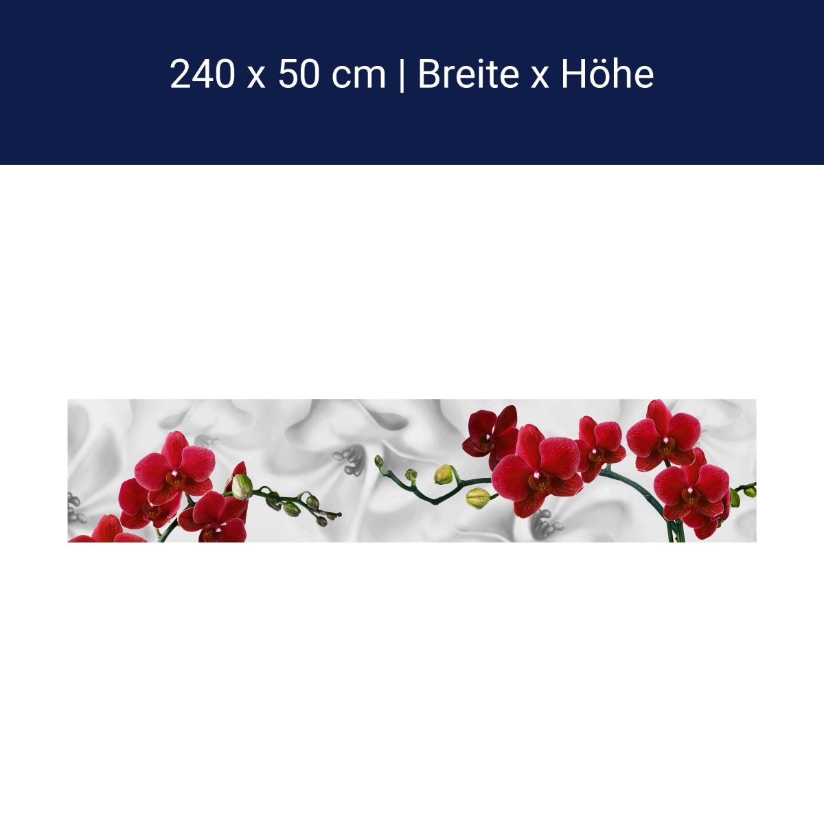 Küchenrückwand Orchideen Rot Weiß Pflanze Hintergrund M1148 Küchenrückwand Orchideen Rot Weiß Pflanze Hintergrund M1148