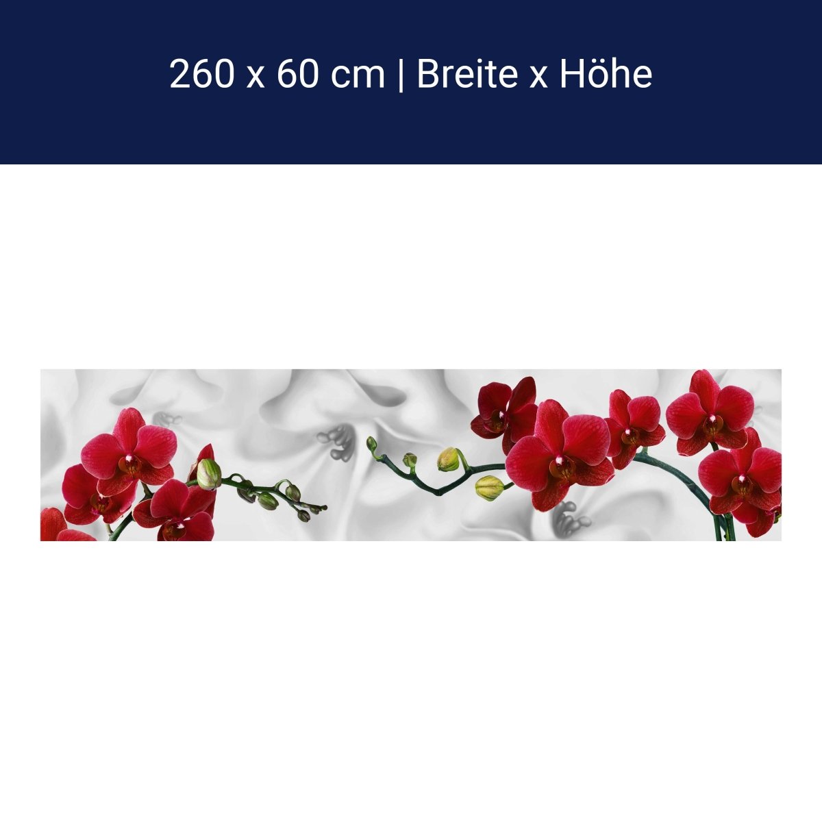 Küchenrückwand Orchideen Rot Weiß Pflanze Hintergrund M1148 Küchenrückwand Orchideen Rot Weiß Pflanze Hintergrund M1148