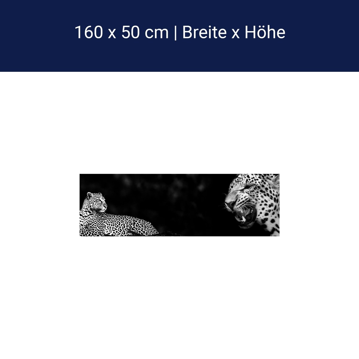 Küchenrückwand Leopard Schwarz Weiß Raubkatze Fauchen M1167 Küchenrückwand Leopard Schwarz Weiß Raubkatze Fauchen M1167