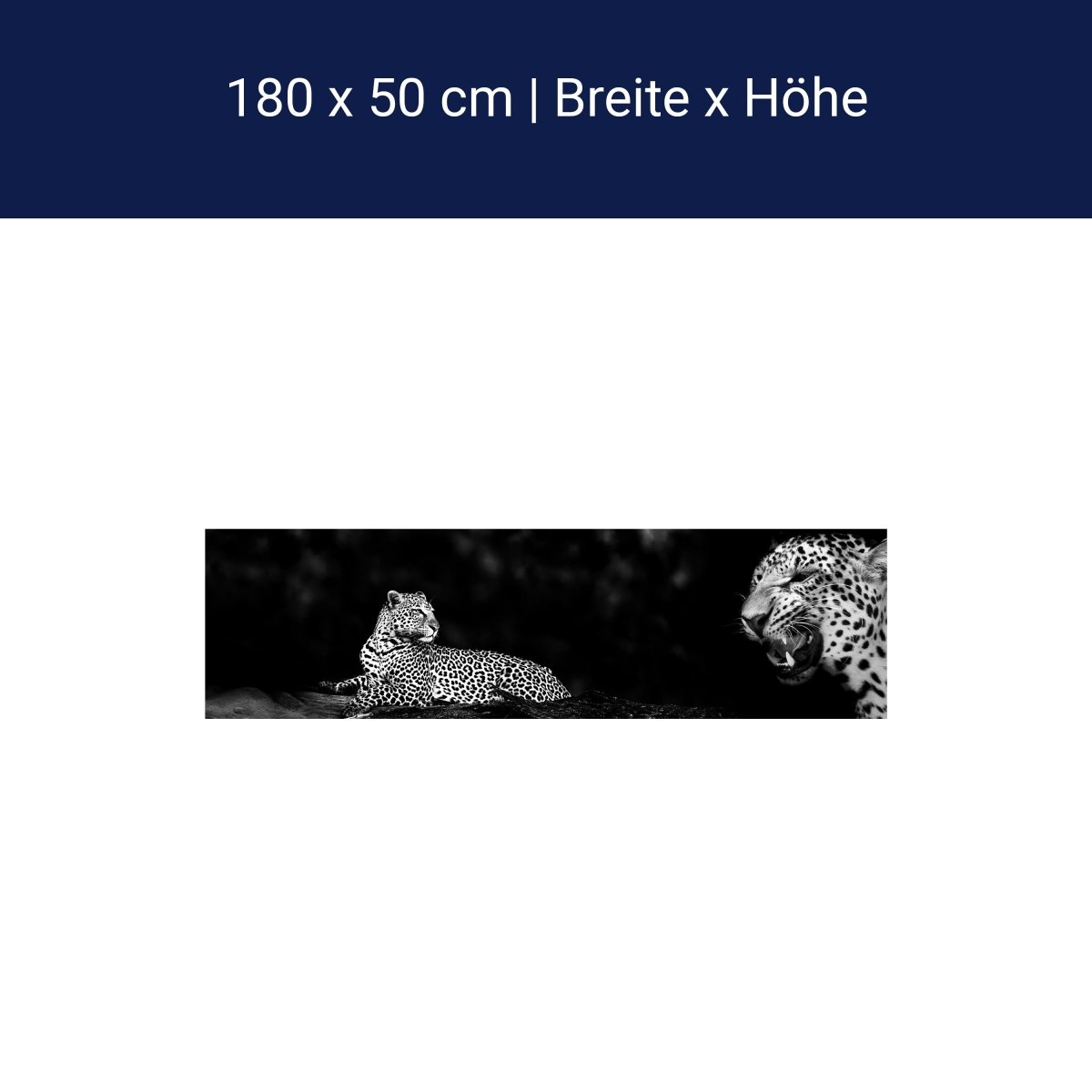 Küchenrückwand Leopard Schwarz Weiß Raubkatze Fauchen M1167 Küchenrückwand Leopard Schwarz Weiß Raubkatze Fauchen M1167