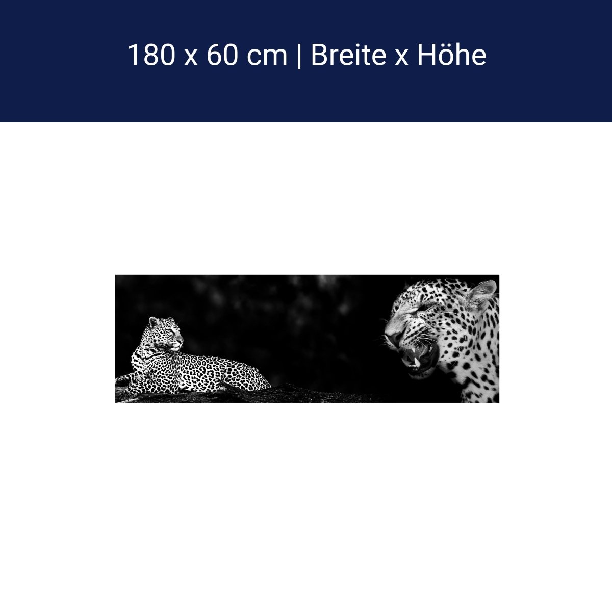 Küchenrückwand Leopard Schwarz Weiß Raubkatze Fauchen M1167 Küchenrückwand Leopard Schwarz Weiß Raubkatze Fauchen M1167