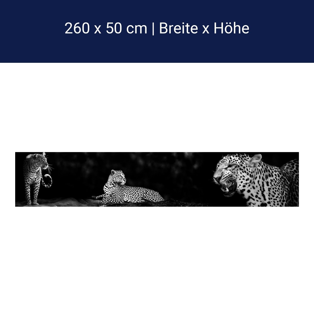 Küchenrückwand Leopard Schwarz Weiß Raubkatze Fauchen M1167 Küchenrückwand Leopard Schwarz Weiß Raubkatze Fauchen M1167