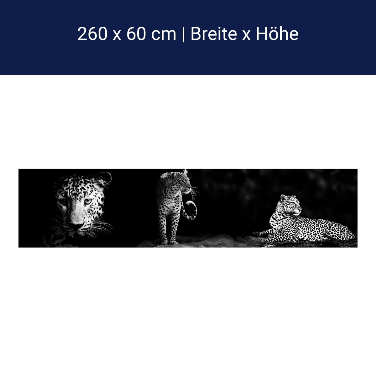 Küchenrückwand Leopard Schwarz Weiß Raubkatze Fauchen M1167 Küchenrückwand Leopard Schwarz Weiß Raubkatze Fauchen M1167