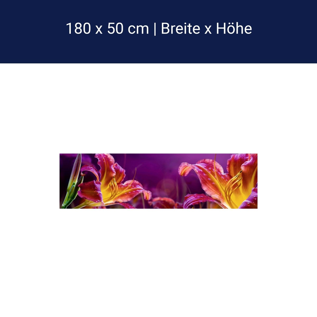 Küchenrückwand Gelb Orange Blüte Knospe Grün M1223 Küchenrückwand Gelb Orange Blüte Knospe Grün M1223