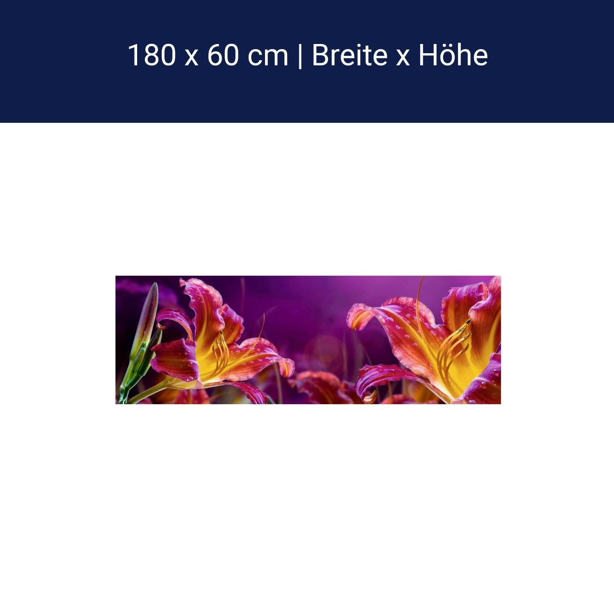 Küchenrückwand Gelb Orange Blüte Knospe Grün M1223 Küchenrückwand Gelb Orange Blüte Knospe Grün M1223