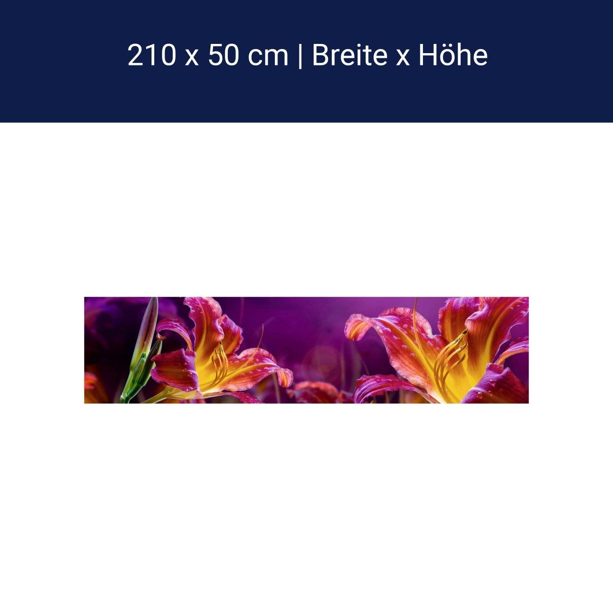 Küchenrückwand Gelb Orange Blüte Knospe Grün M1223 Küchenrückwand Gelb Orange Blüte Knospe Grün M1223