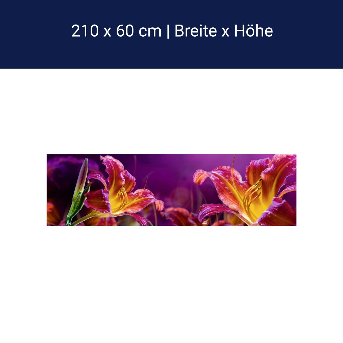 Küchenrückwand Gelb Orange Blüte Knospe Grün M1223 Küchenrückwand Gelb Orange Blüte Knospe Grün M1223