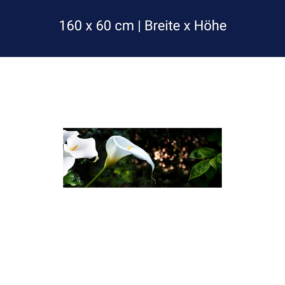 Küchenrückwand Calla Weiß grün Laub Wald Urwald Lotus M1239 Küchenrückwand Calla Weiß grün Laub Wald Urwald Lotus M1239