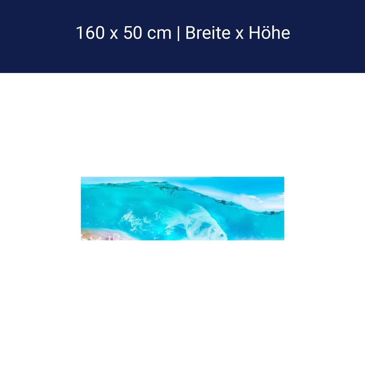 Küchenrückwand Hellblau See Wasser Flaschenpost Muschel M1249 Küchenrückwand Hellblau See Wasser Flaschenpost Muschel M1249