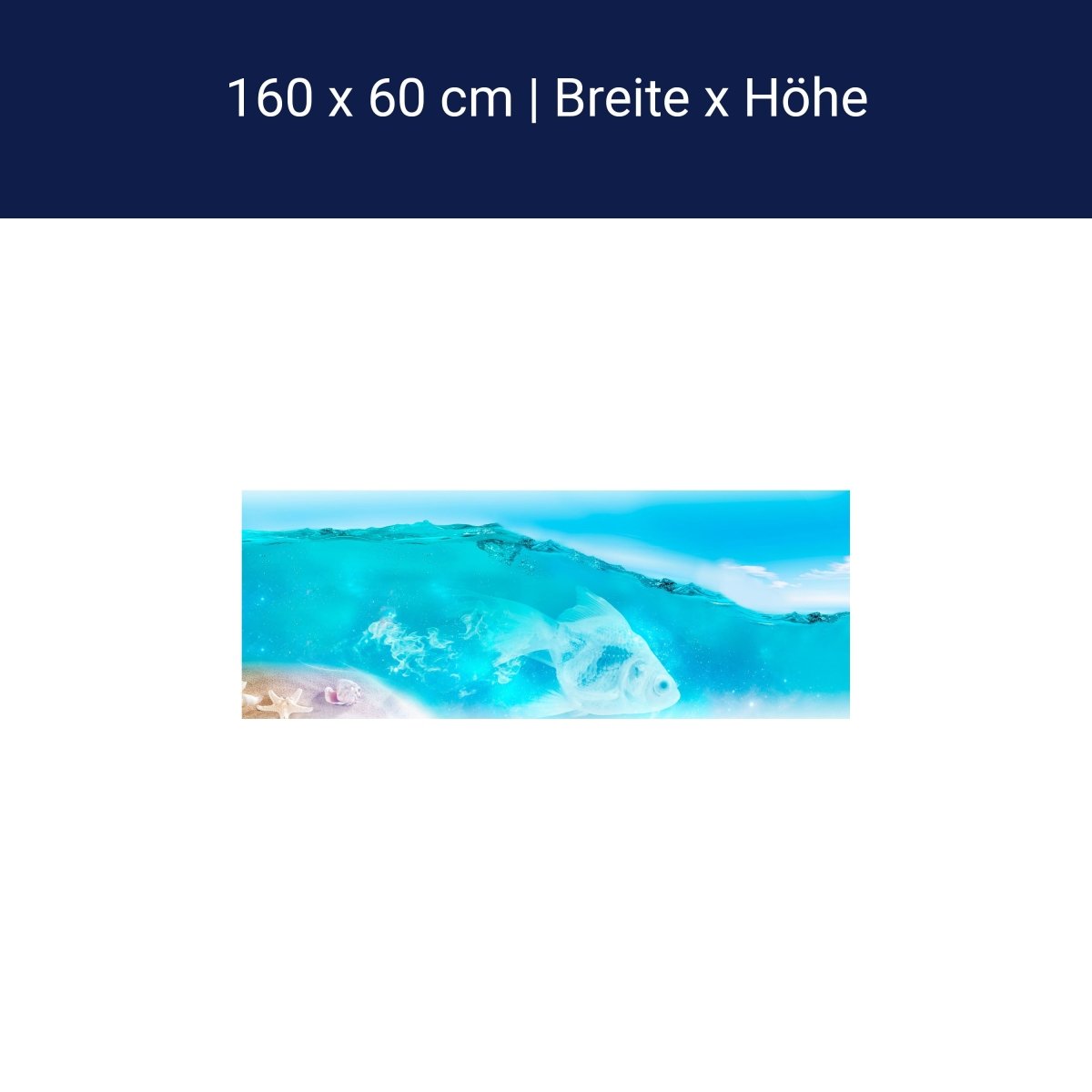 Küchenrückwand Hellblau See Wasser Flaschenpost Muschel M1249 Küchenrückwand Hellblau See Wasser Flaschenpost Muschel M1249