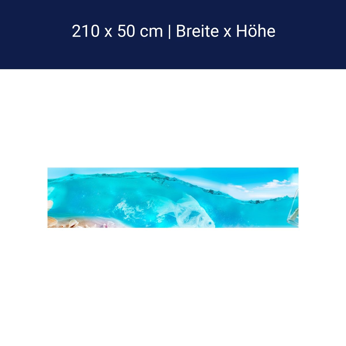 Küchenrückwand Hellblau See Wasser Flaschenpost Muschel M1249 Küchenrückwand Hellblau See Wasser Flaschenpost Muschel M1249