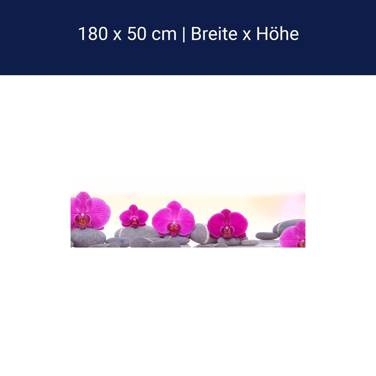 Küchenrückwand Orchidee Steine Blätter rosa M1285 Küchenrückwand Orchidee Steine Blätter rosa M1285