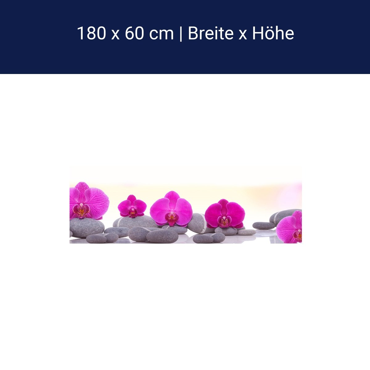 Küchenrückwand Orchidee Steine Blätter rosa M1285 Küchenrückwand Orchidee Steine Blätter rosa M1285