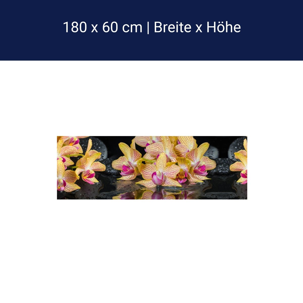Küchenrückwand Orchidee Steine Wasser M1286 Küchenrückwand Orchidee Steine Wasser M1286