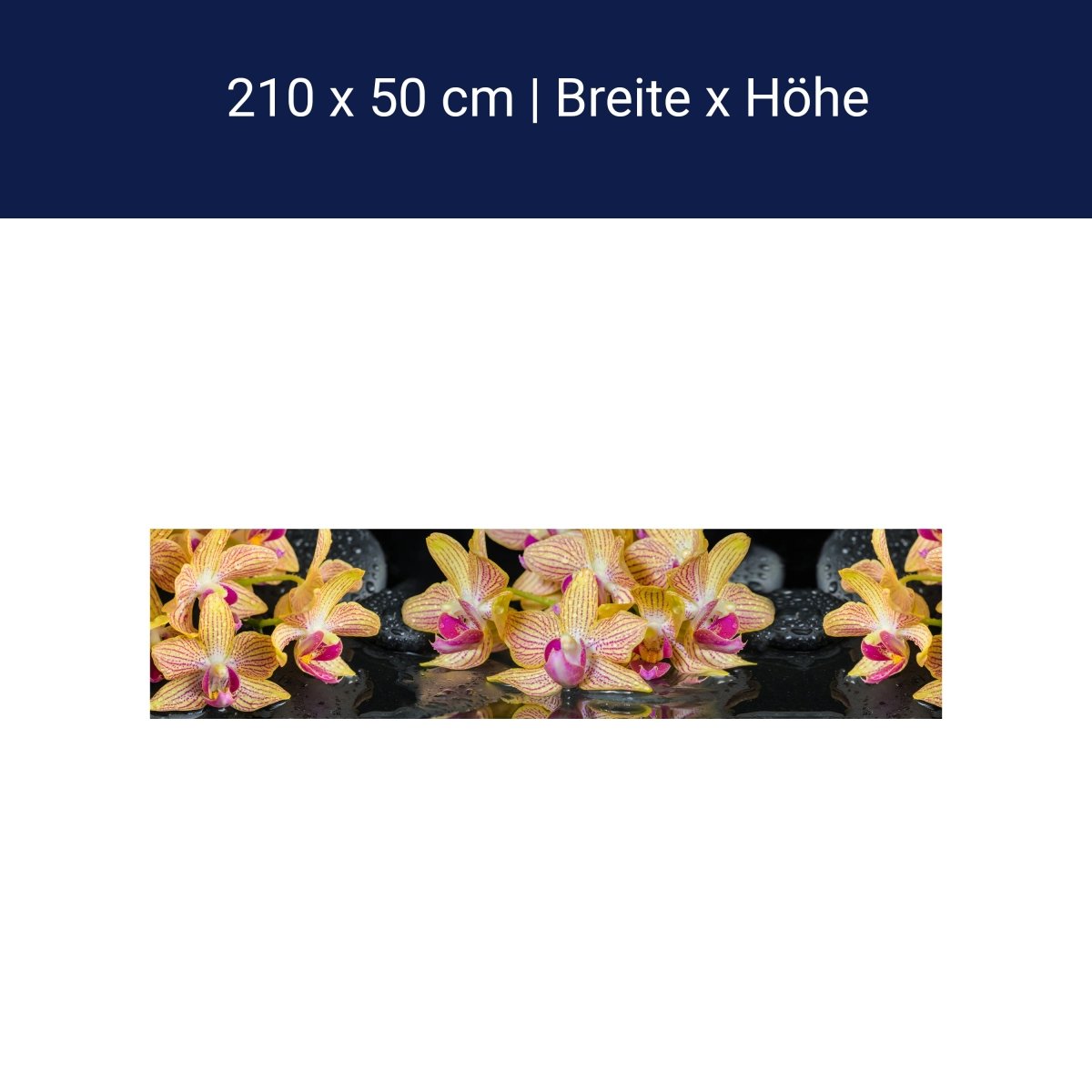 Küchenrückwand Orchidee Steine Wasser M1286 Küchenrückwand Orchidee Steine Wasser M1286