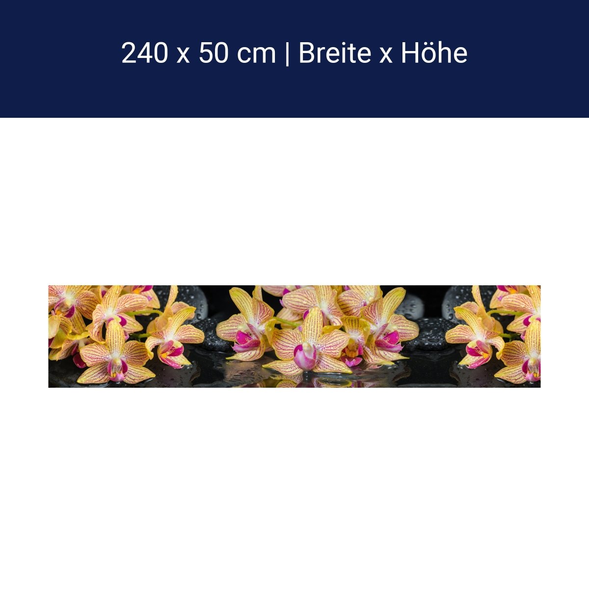 Küchenrückwand Orchidee Steine Wasser M1286 Küchenrückwand Orchidee Steine Wasser M1286