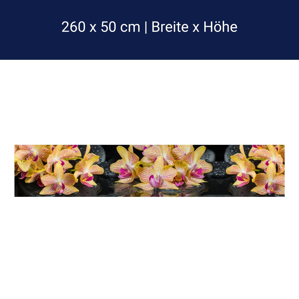 Küchenrückwand Orchidee Steine Wasser M1286 Küchenrückwand Orchidee Steine Wasser M1286