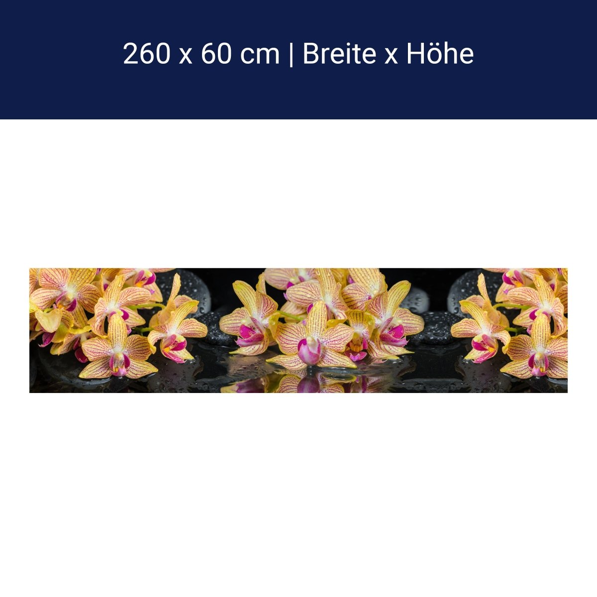 Küchenrückwand Orchidee Steine Wasser M1286 Küchenrückwand Orchidee Steine Wasser M1286