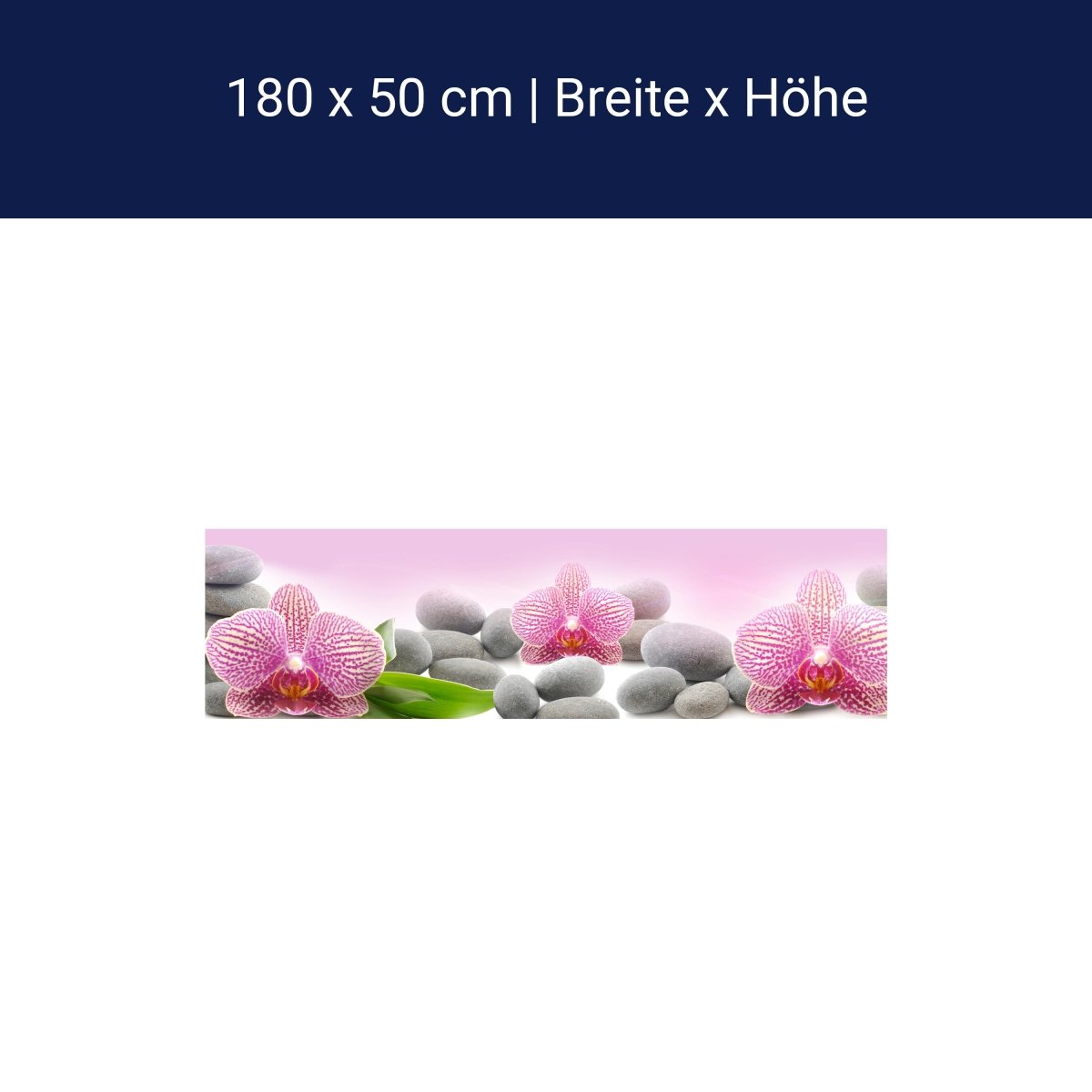 Küchenrückwand Orchidee Blätter Steine Rosa M1291 Küchenrückwand Orchidee Blätter Steine Rosa M1291