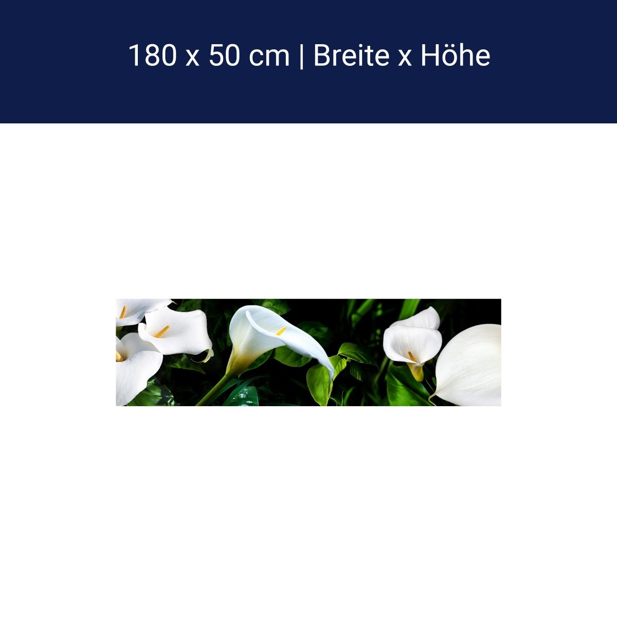 Küchenrückwand calla bartfaden weiß blätter stiel M1381 Küchenrückwand calla bartfaden weiß blätter stiel M1381