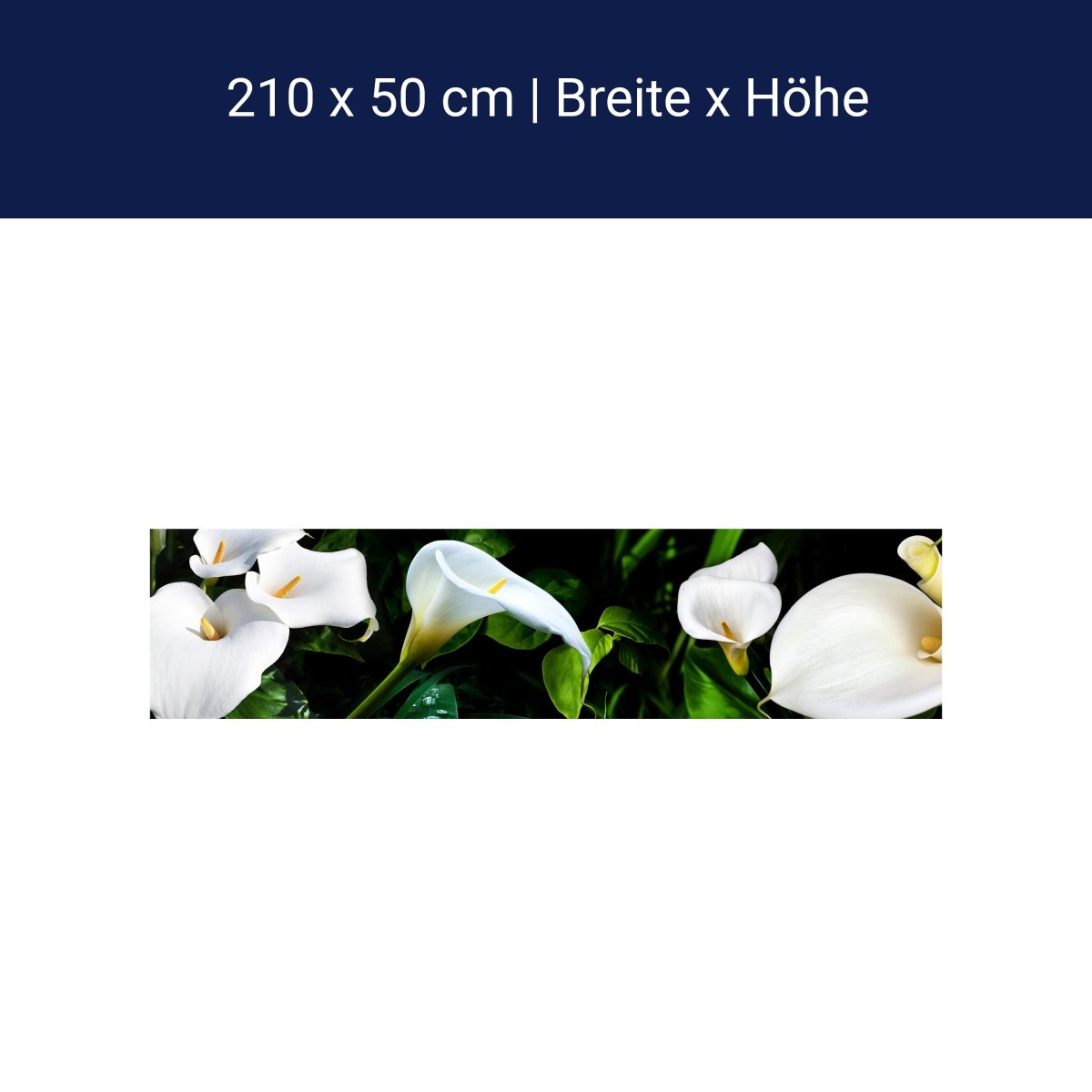 Küchenrückwand calla bartfaden weiß blätter stiel M1381 Küchenrückwand calla bartfaden weiß blätter stiel M1381