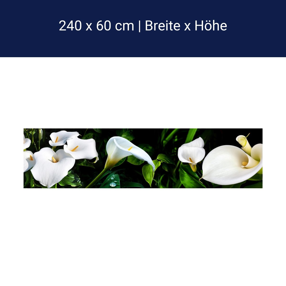 Küchenrückwand calla bartfaden weiß blätter stiel M1381 Küchenrückwand calla bartfaden weiß blätter stiel M1381