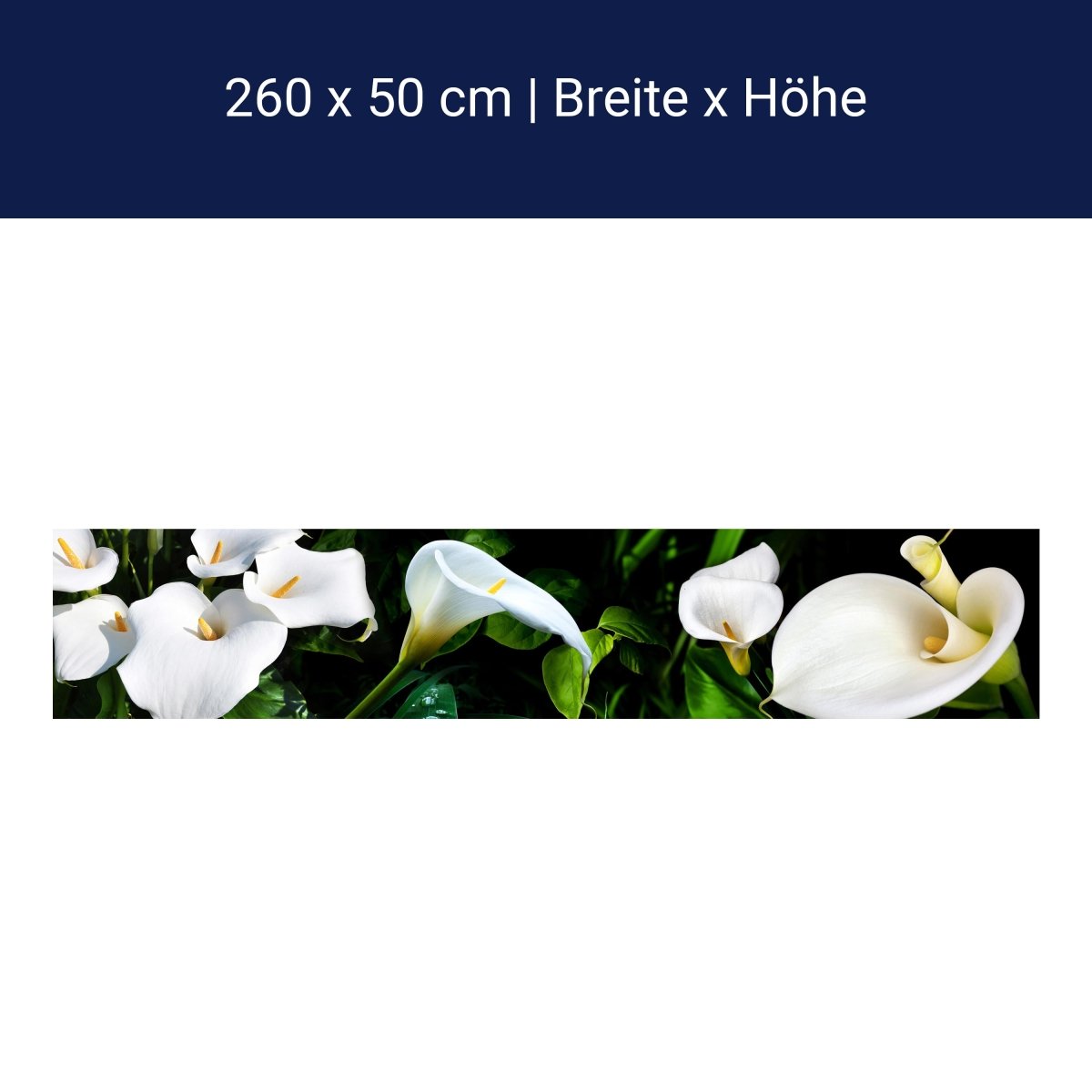 Küchenrückwand calla bartfaden weiß blätter stiel M1381 Küchenrückwand calla bartfaden weiß blätter stiel M1381