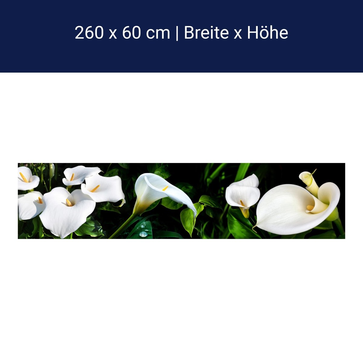 Küchenrückwand calla bartfaden weiß blätter stiel M1381 Küchenrückwand calla bartfaden weiß blätter stiel M1381