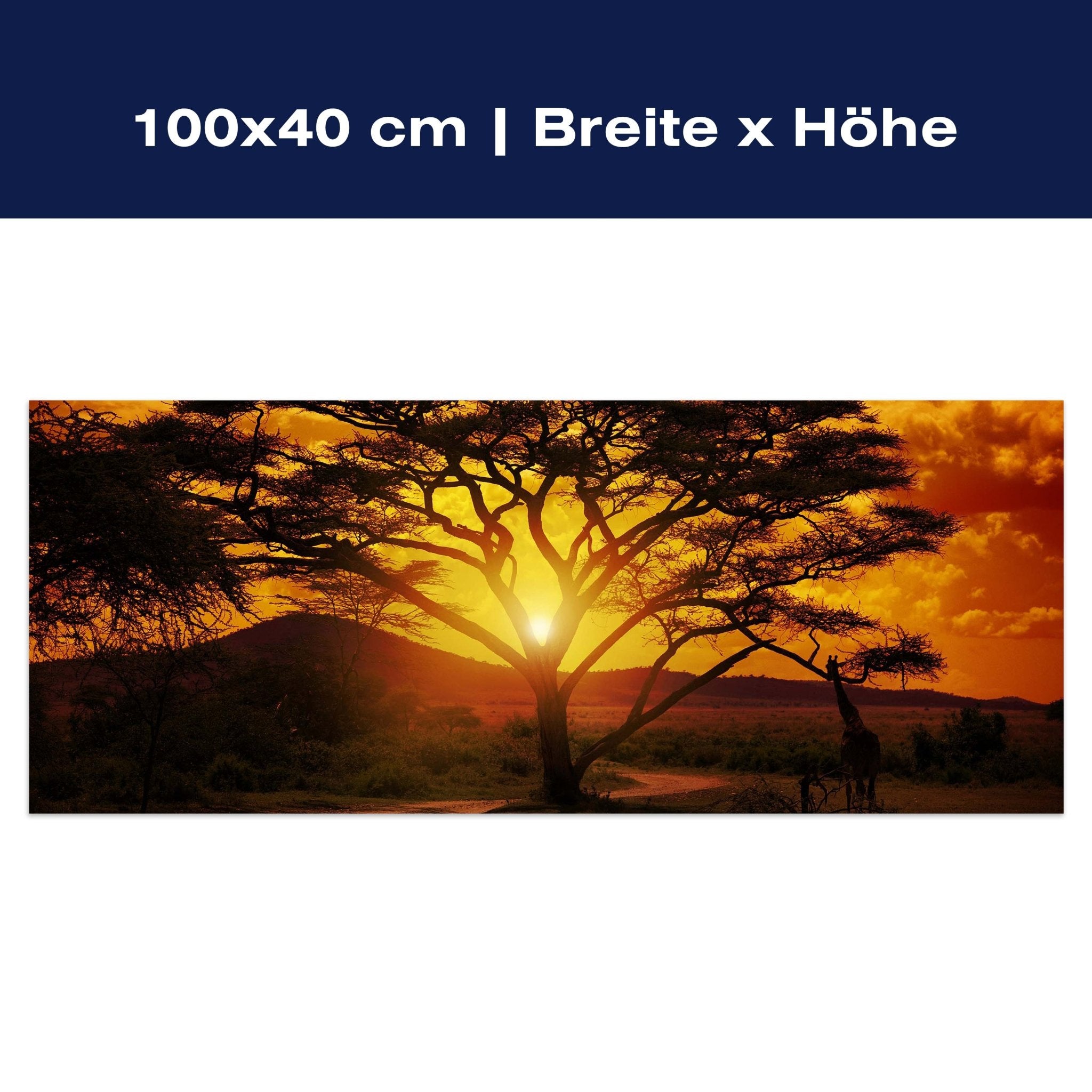 Leinwandbild Afrika Sonnenuntergang M0001